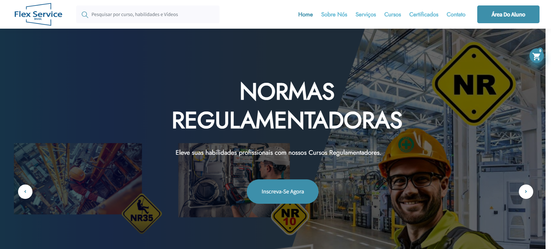 Flex Service Brasil